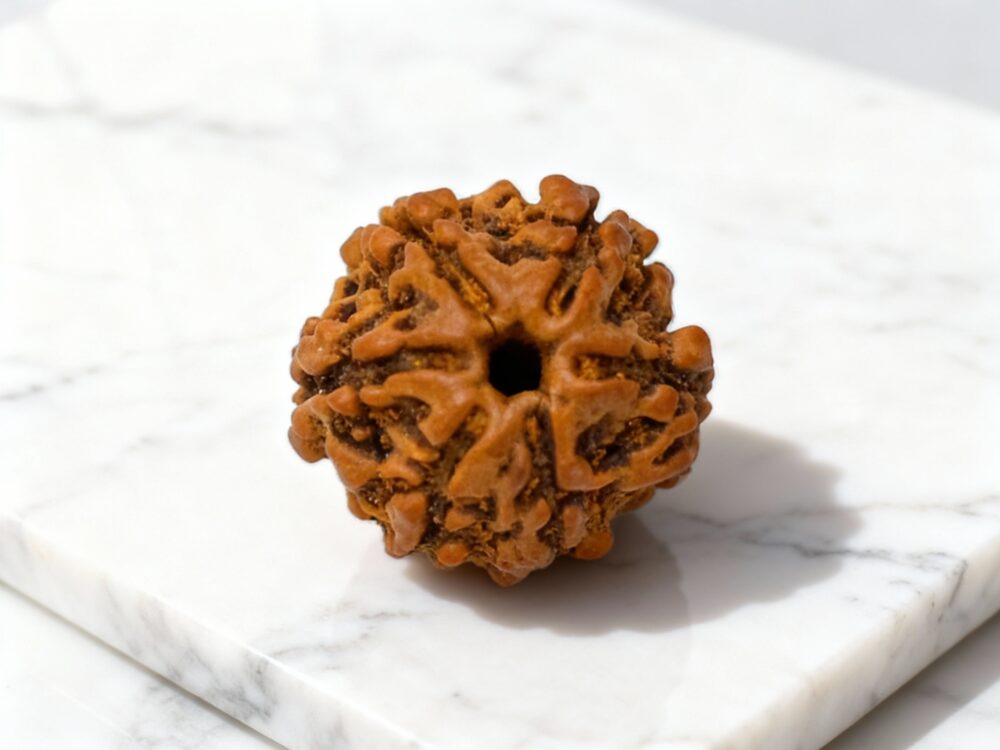 The Divine Power of Rudraksha – A Sacred Gift from Nature